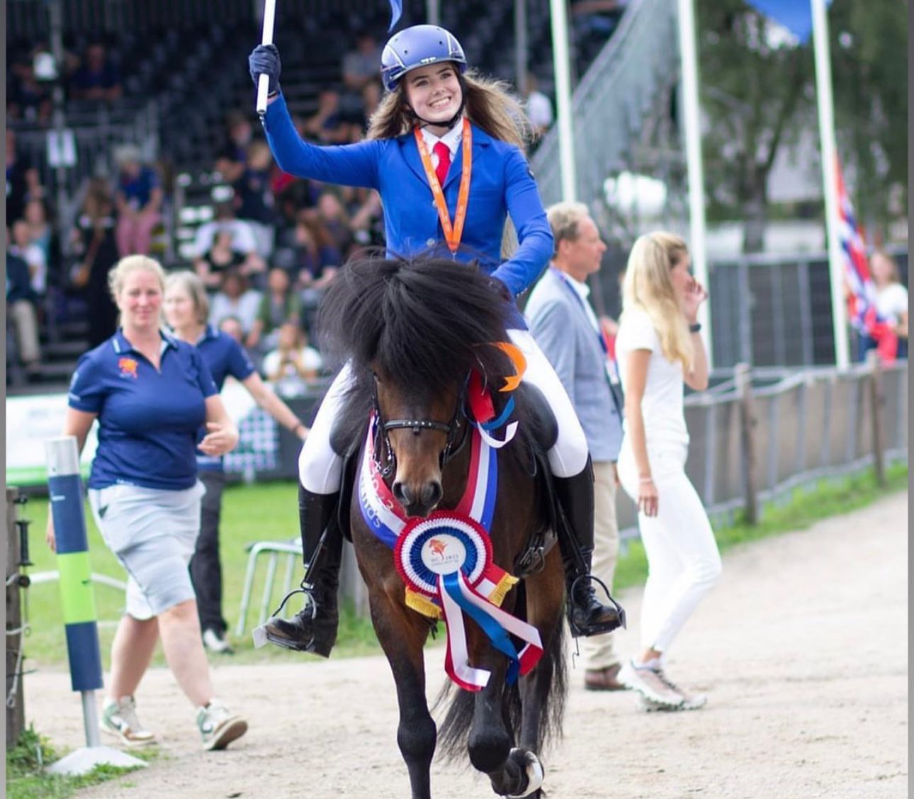 Are you searching your next horse for WC and high level sports class? sinaguenther-islandpferde