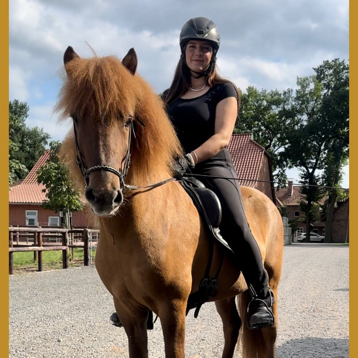 Atlas frá Flagbjarnarholti Preis auf Anfrage sinaguenther-islandpferde