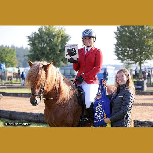 Deckhengst Baltsar frá Guldbaek sinaguenther-islandpferde
