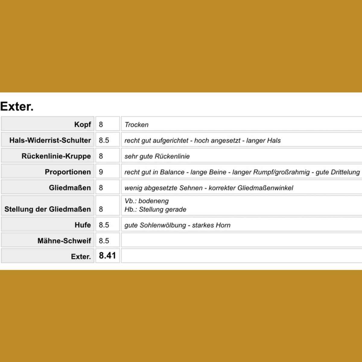 Deckhengst Baltsar frá Guldbaek sinaguenther-islandpferde