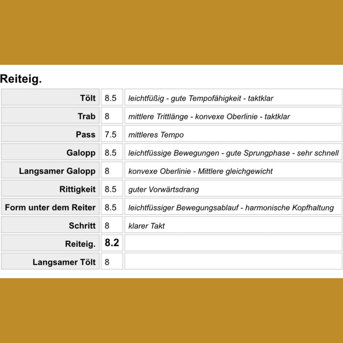 Deckhengst Baltsar frá Guldbaek sinaguenther-islandpferde