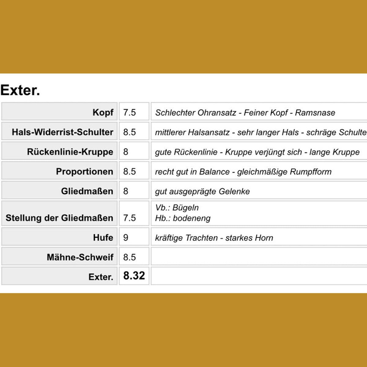 Deckhengst Hrafn frá Kvíarhóli sinaguenther-islandpferde