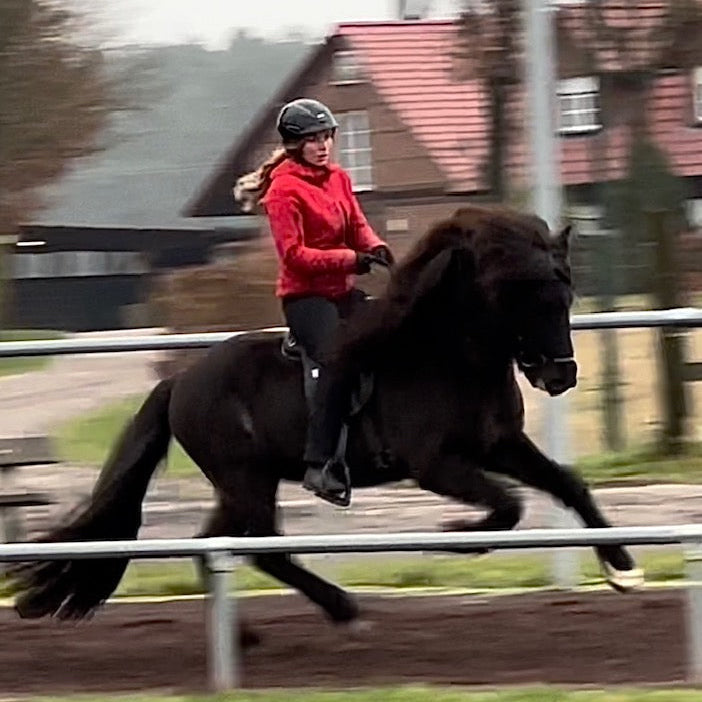 Einar Preis auf Anfrage sinaguenther-islandpferde