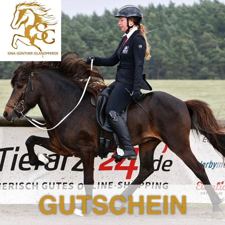 Geschenkgutschein sinaguenther-islandpferde