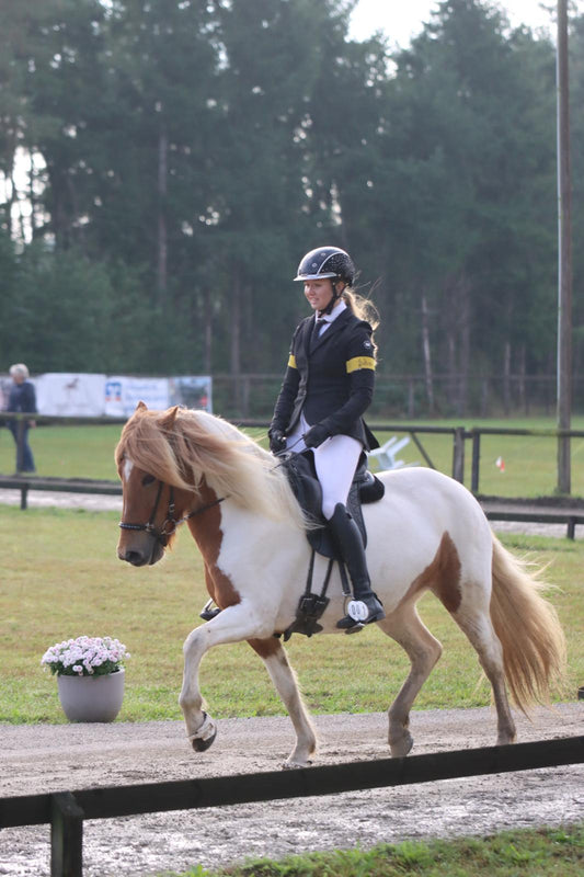 Hátid frá Efra-Hvoli sinaguenther-islandpferde