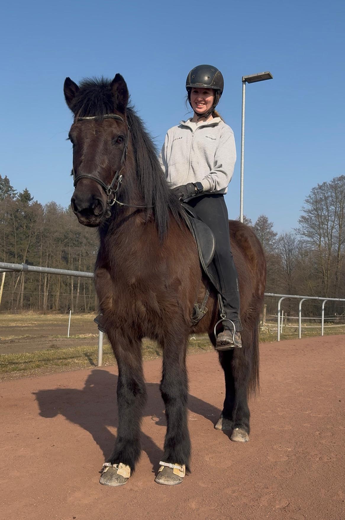 Hugmynd sinaguenther-islandpferde