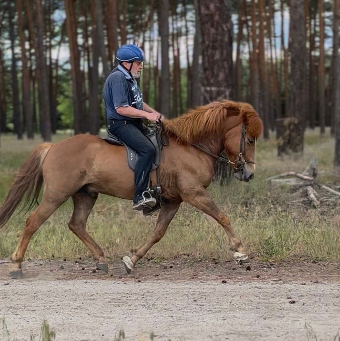 Örn