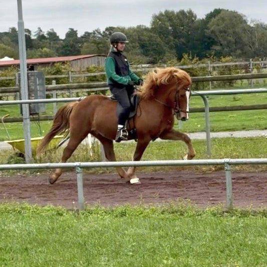 Örn