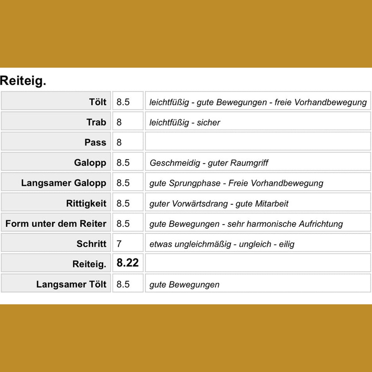 Deckhengst Garpur von der Igelsburg sinaguenther-islandpferde