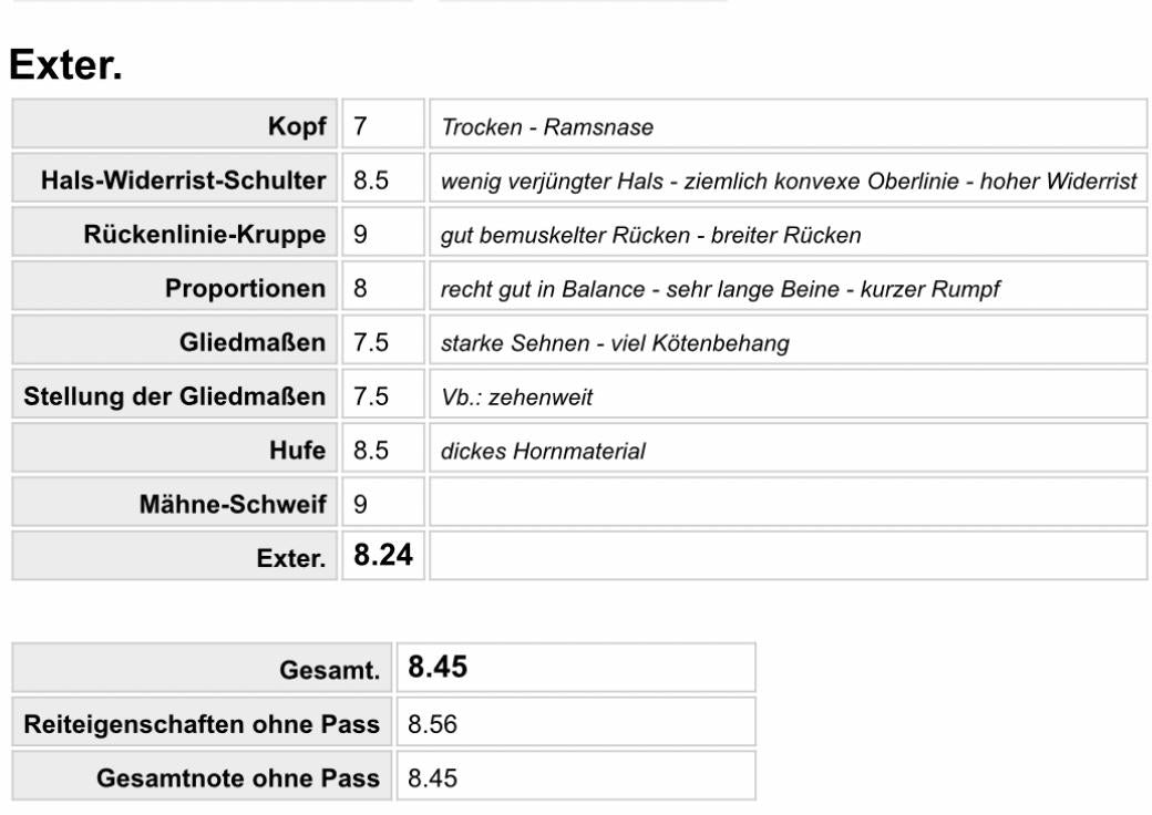 Top-Class FIZO STAR 🌟 Preis auf Anfrage sinaguenther-islandpferde