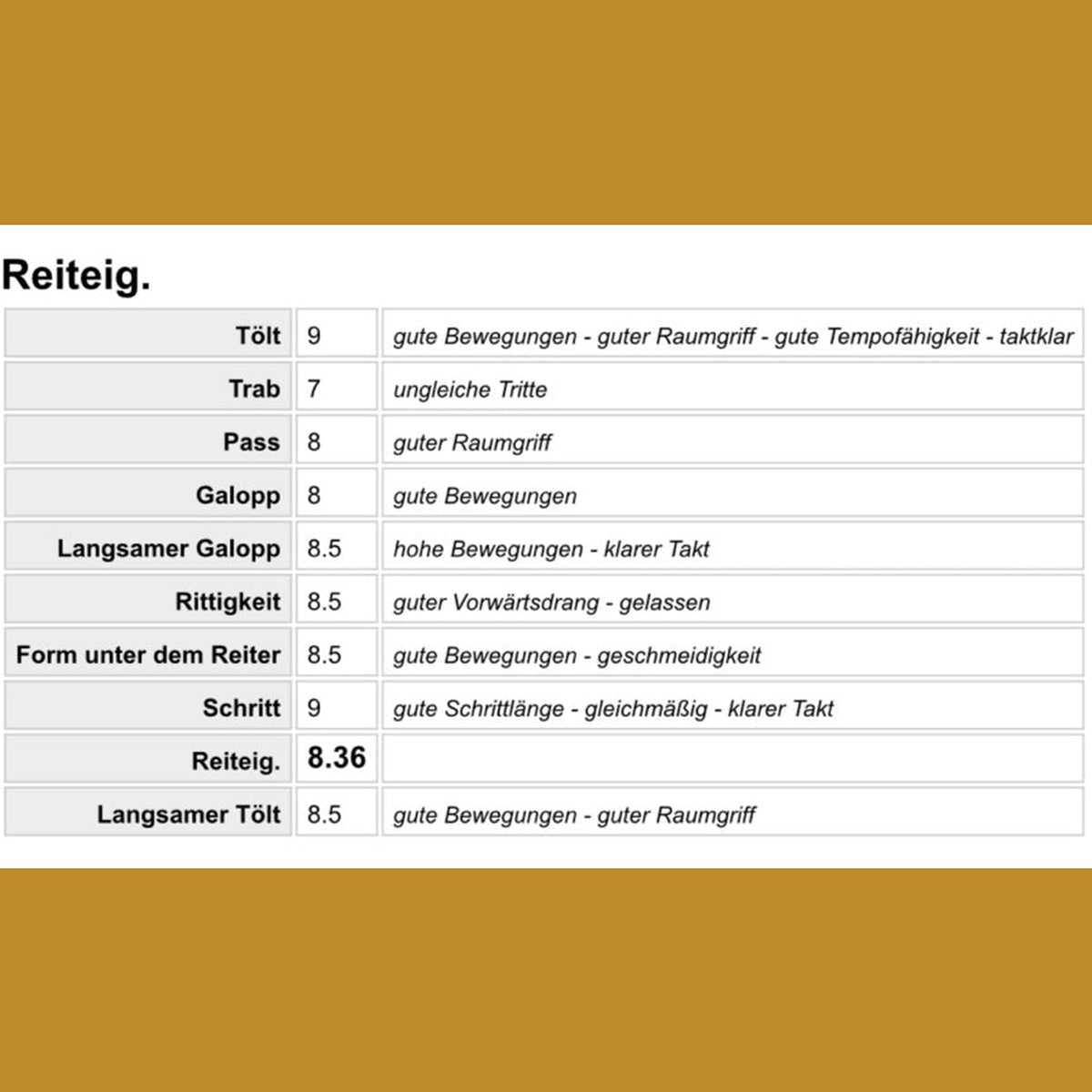 Deckhengst Njördur frá Feti sinaguenther-islandpferde