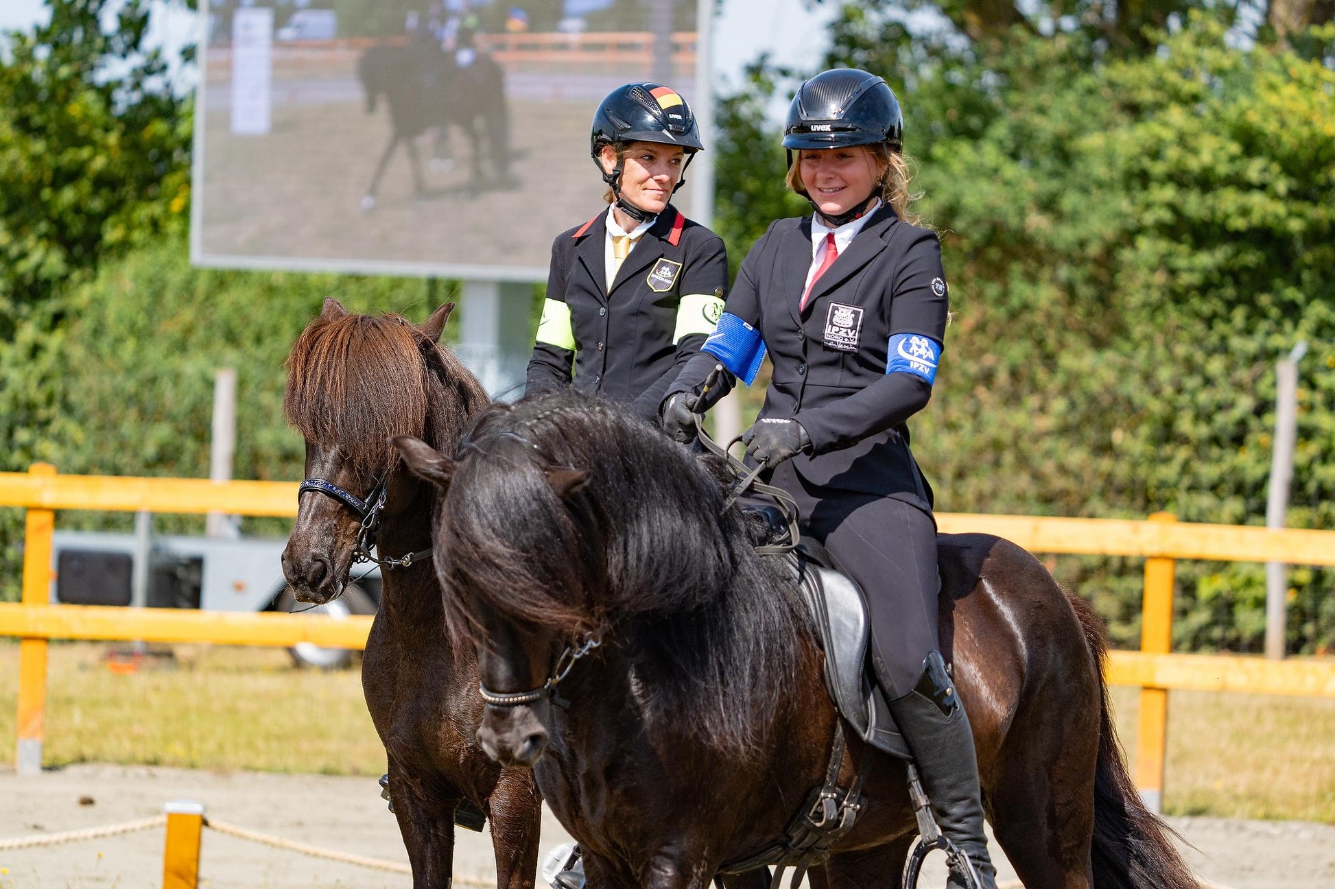 Deckhengst Nökkvi frá Hrísakoti sinaguenther-islandpferde