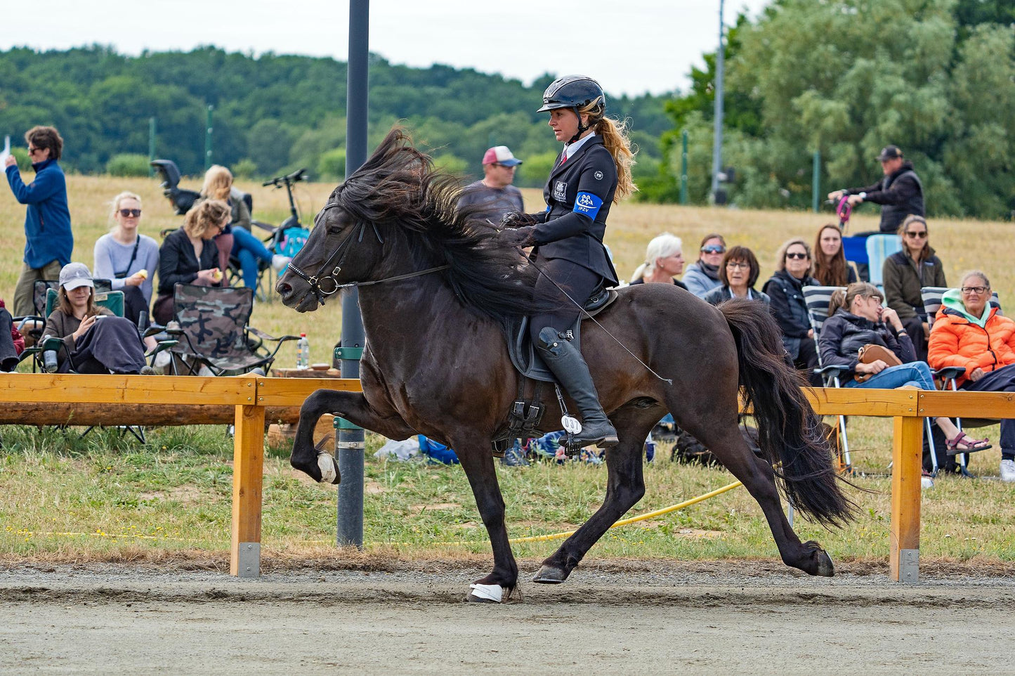 Deckhengst Nökkvi frá Hrísakoti sinaguenther-islandpferde