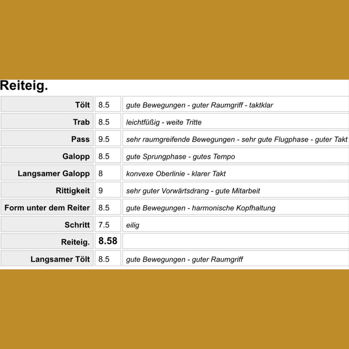 Deckhengst Nökkvi frá Hrísakoti sinaguenther-islandpferde