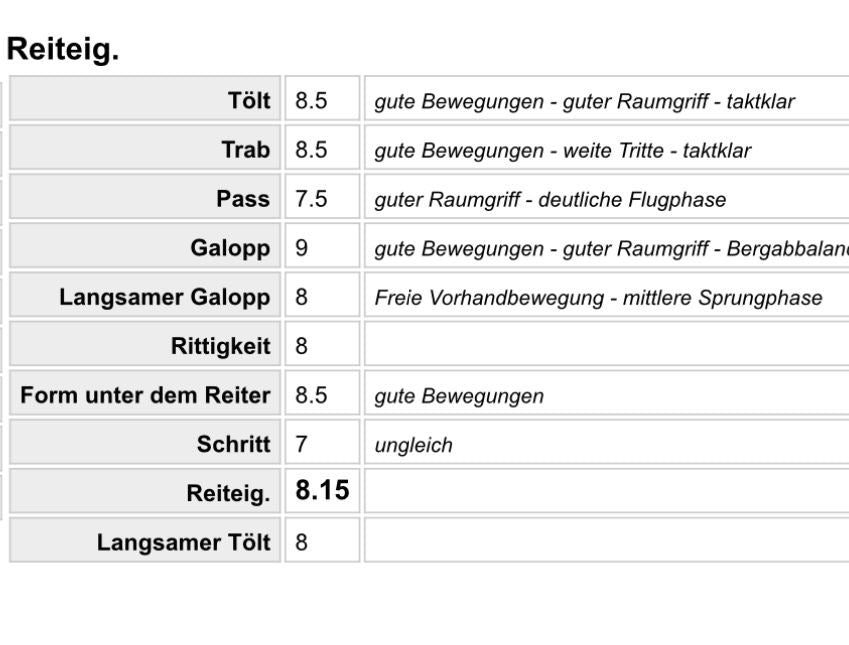 Deckhengst Ölvaldur frá Finnastöðum sinaguenther-islandpferde