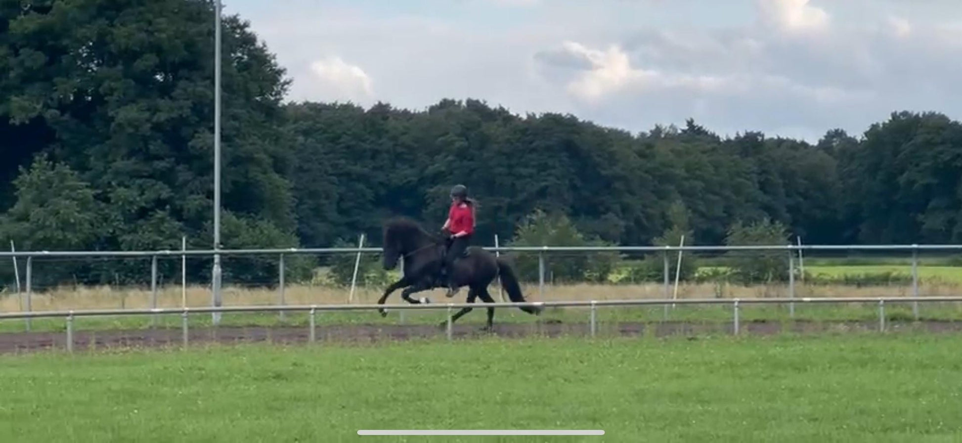 ⭐️ Futurity Star 🇩🇪⭐️ Preis auf Anfrage sinaguenther-islandpferde
