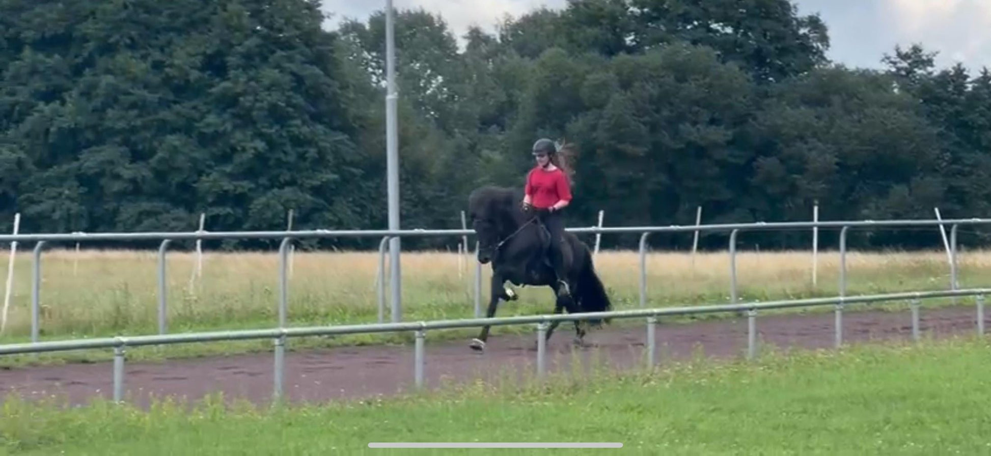 ⭐️ Futurity Star 🇩🇪⭐️ Preis auf Anfrage sinaguenther-islandpferde