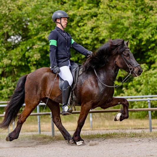 ⭐️ Hreimur ⭐️ sinaguenther-islandpferde