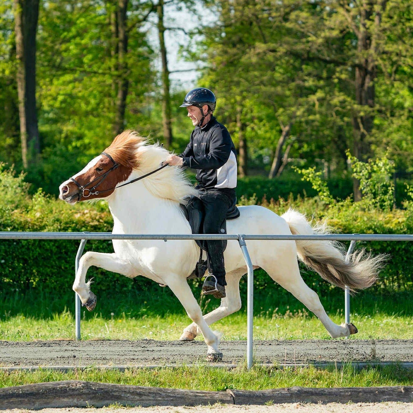 Jakob sinaguenther-islandpferde