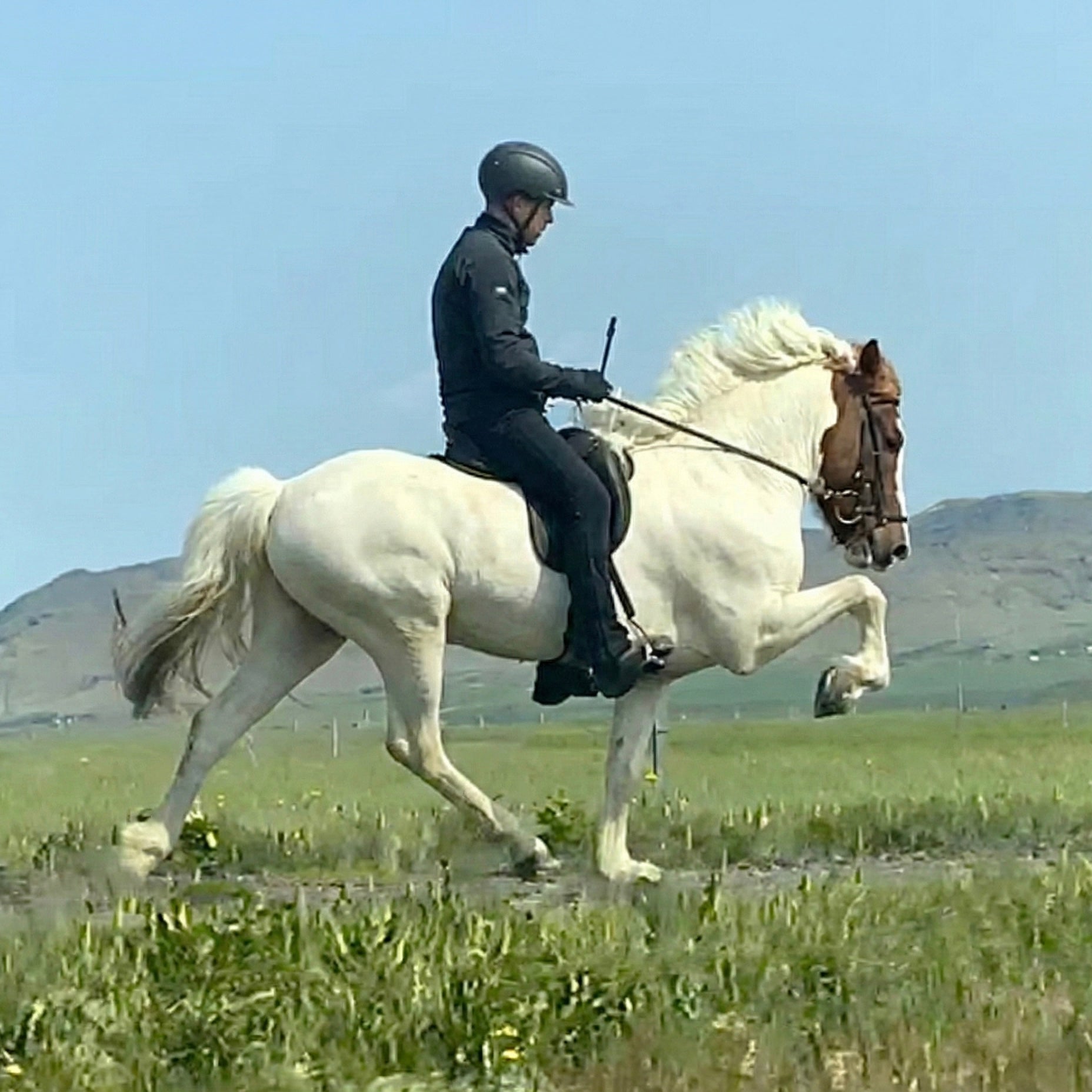 Jakob sinaguenther-islandpferde