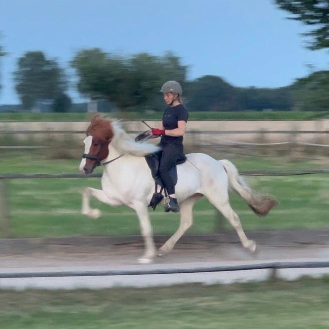 Jakob sinaguenther-islandpferde