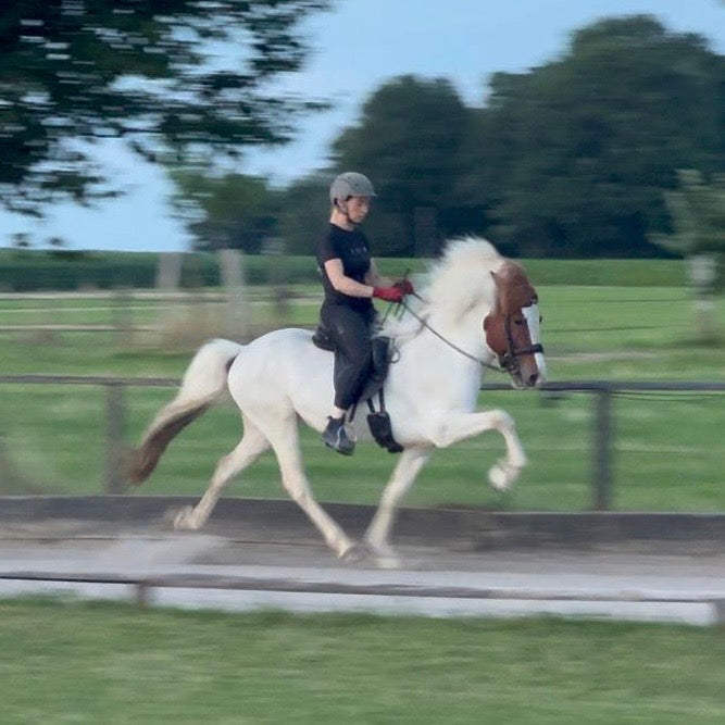 Jakob sinaguenther-islandpferde