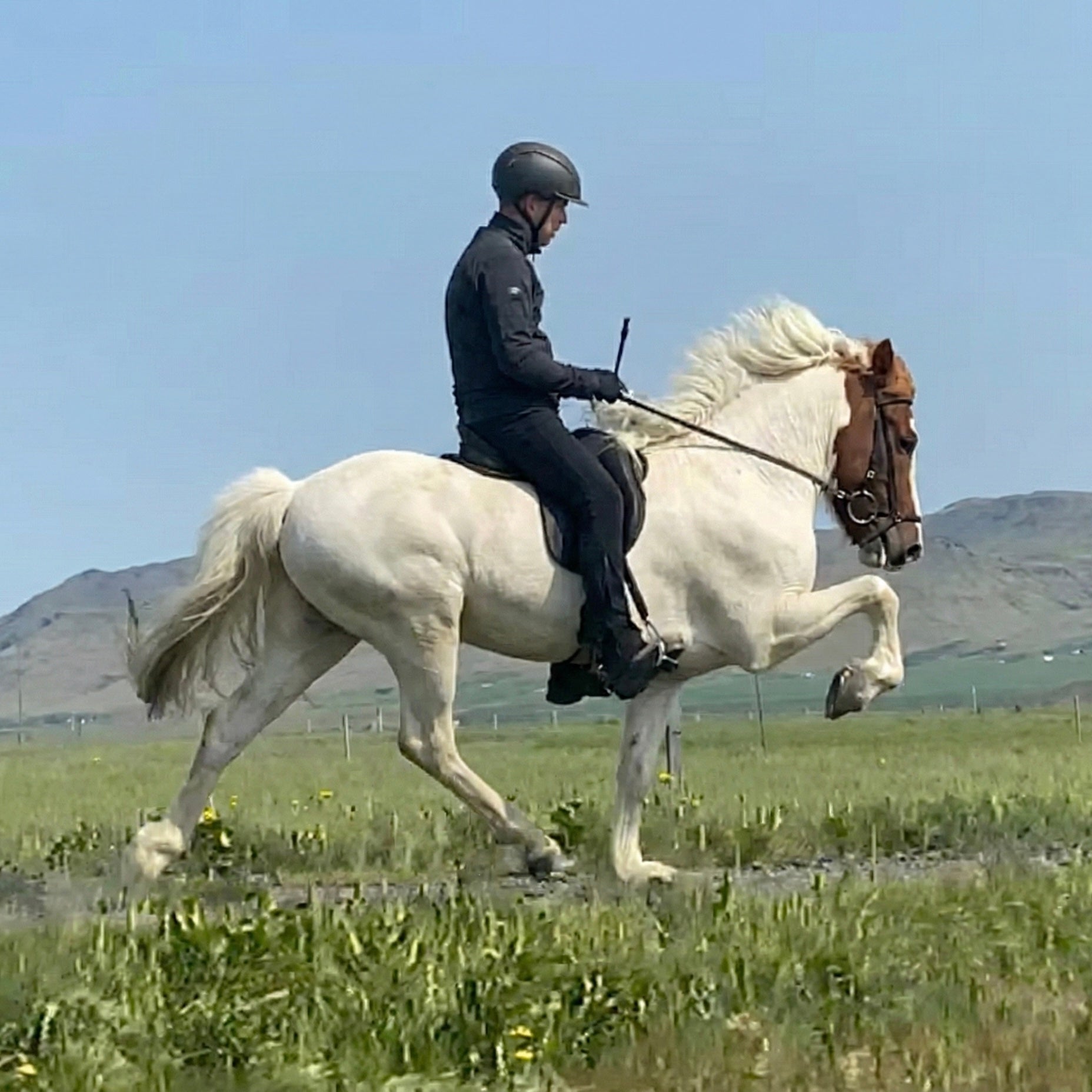 Jakob sinaguenther-islandpferde