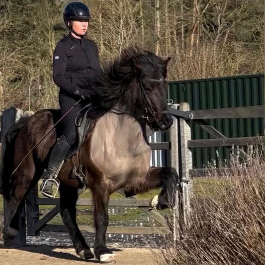 Játning sinaguenther-islandpferde