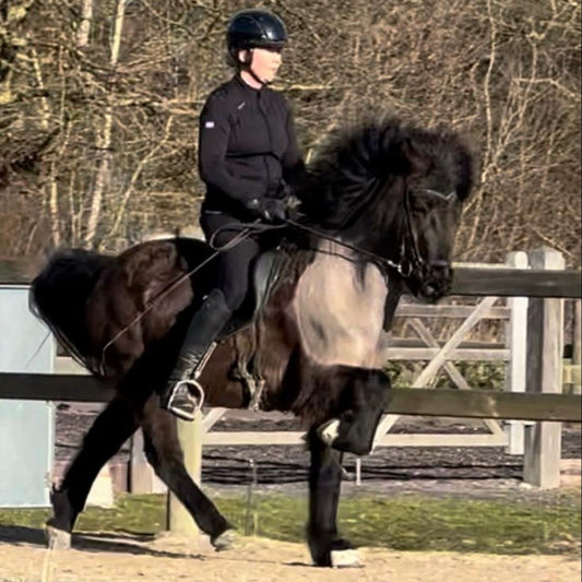 Játning sinaguenther-islandpferde