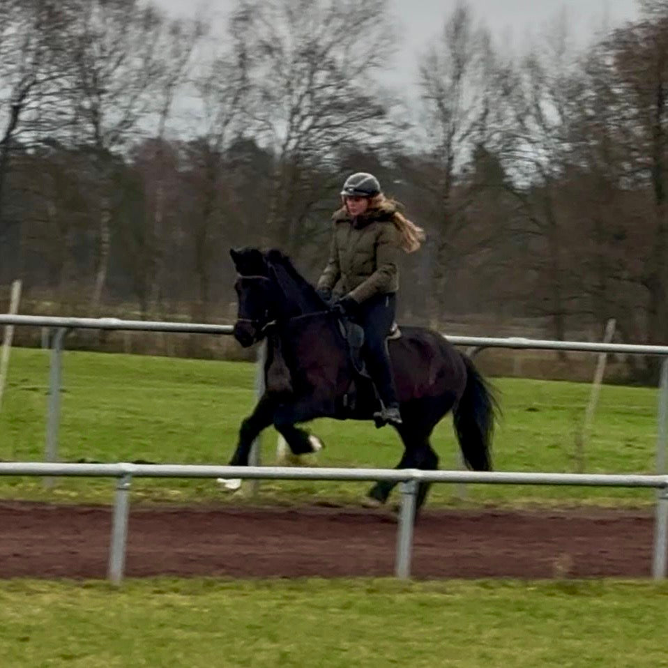 Játning sinaguenther-islandpferde