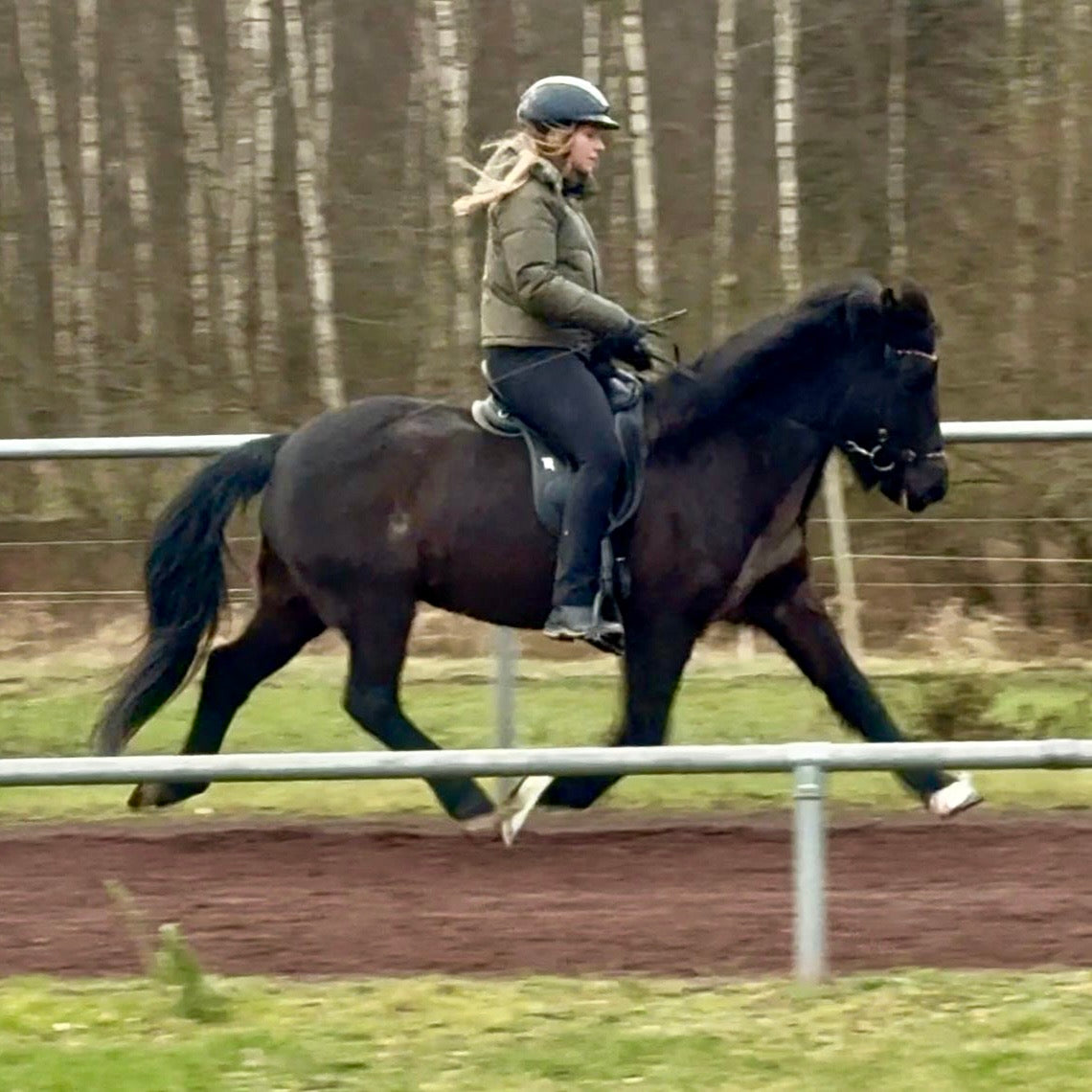 Játning sinaguenther-islandpferde