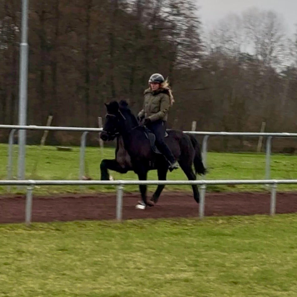 Játning sinaguenther-islandpferde