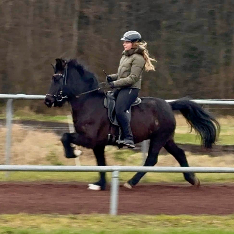 Játning sinaguenther-islandpferde