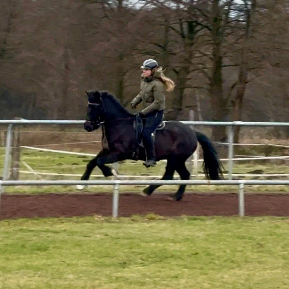 Játning sinaguenther-islandpferde