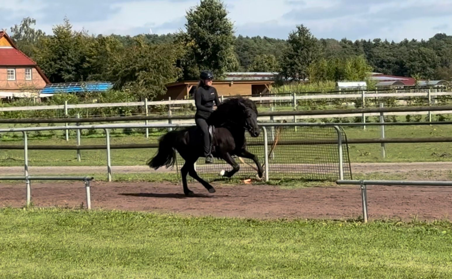 ⭐️ Kolbakkur ⭐️ sinaguenther-islandpferde
