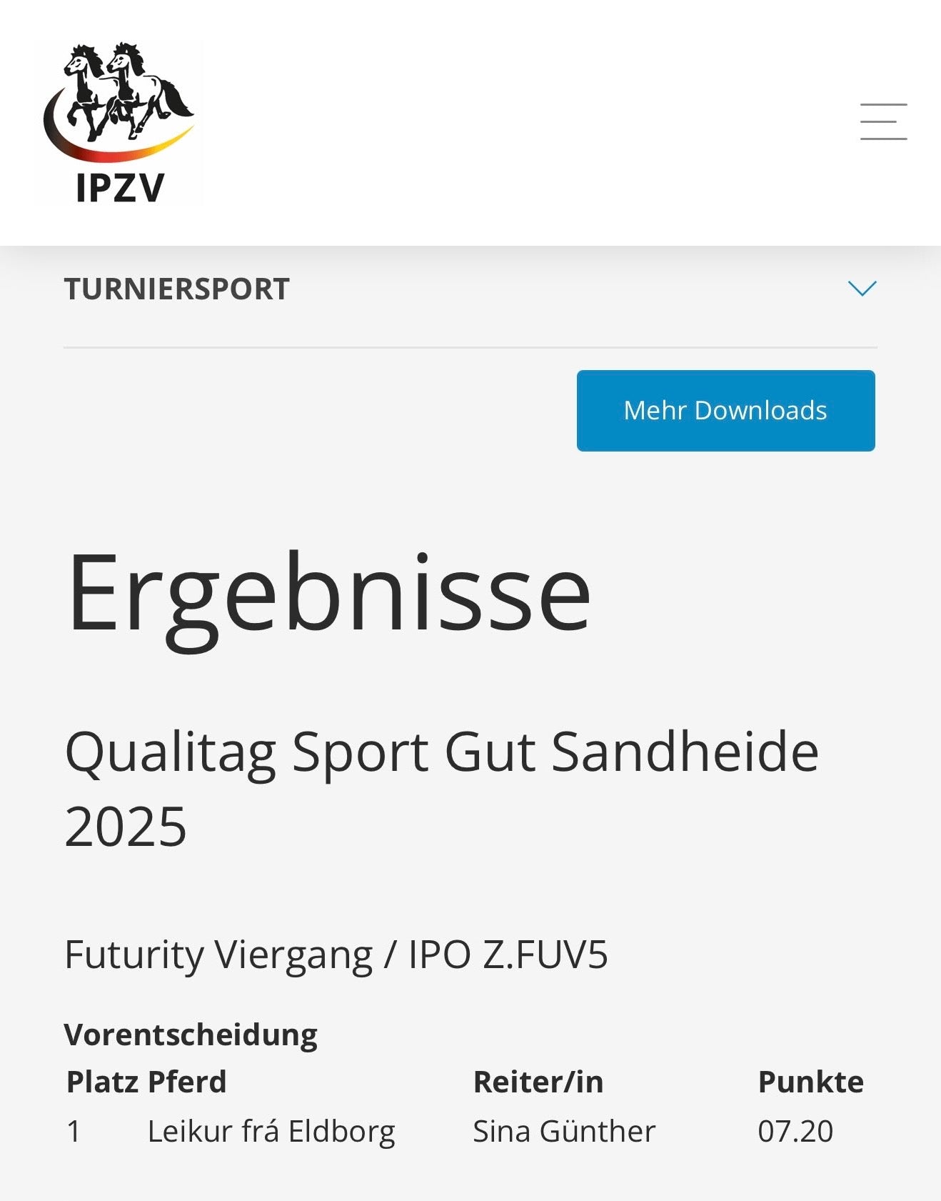 Leikur sinaguenther-islandpferde