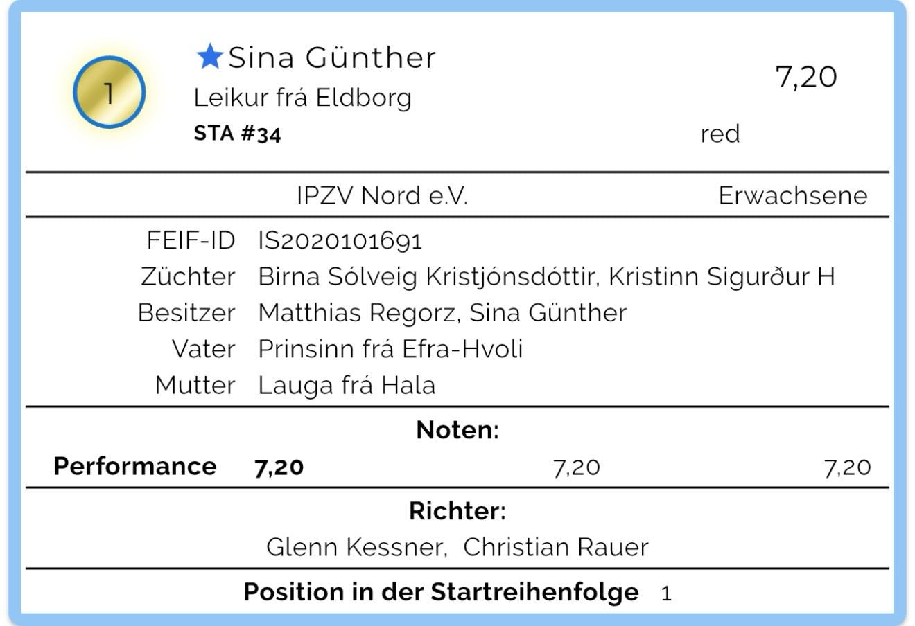 Leikur sinaguenther-islandpferde