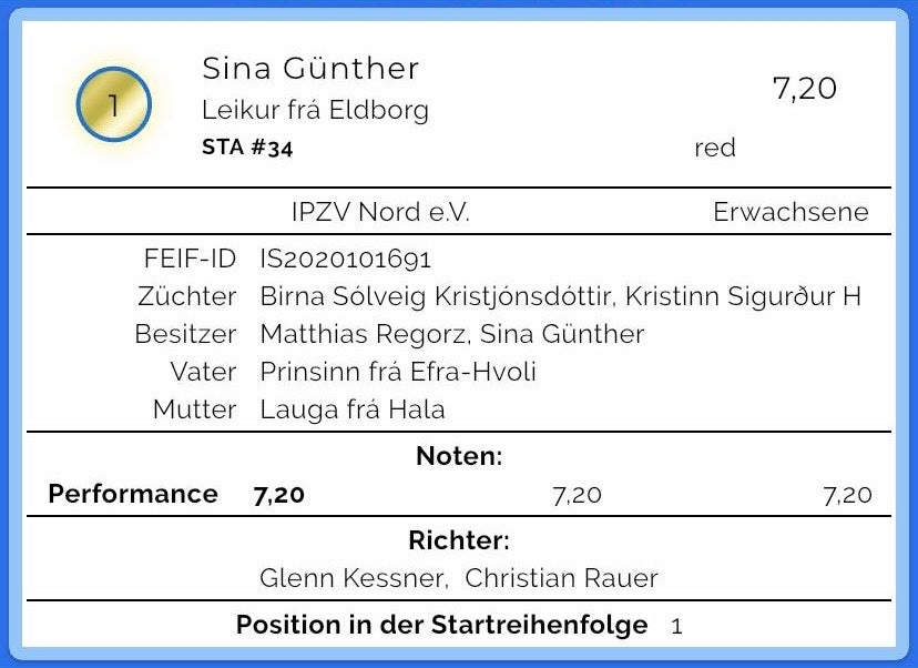 Leikur sinaguenther-islandpferde