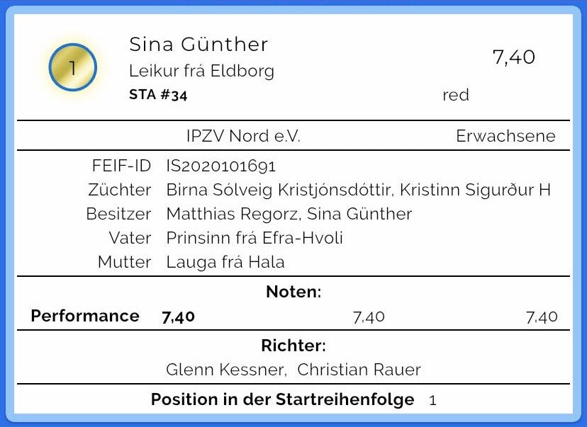 Leikur sinaguenther-islandpferde