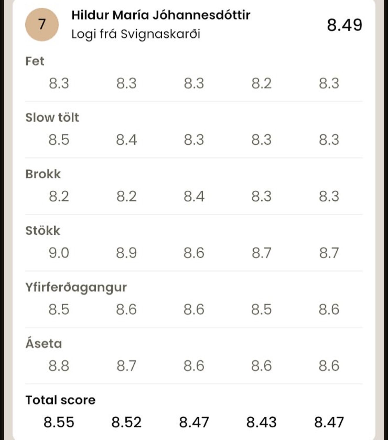 Logi – The One with the X-Factor! 🌟 Preis auf Anfrage sinaguenther-islandpferde