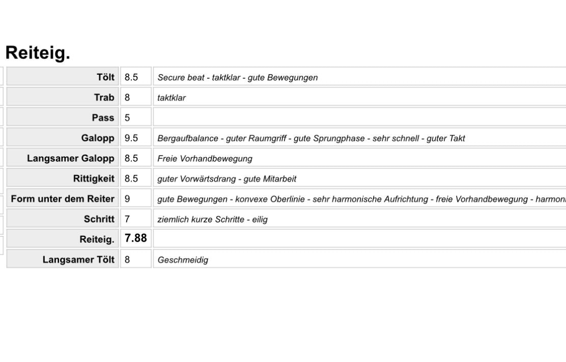 Logi – The One with the X-Factor! 🌟 Preis auf Anfrage sinaguenther-islandpferde