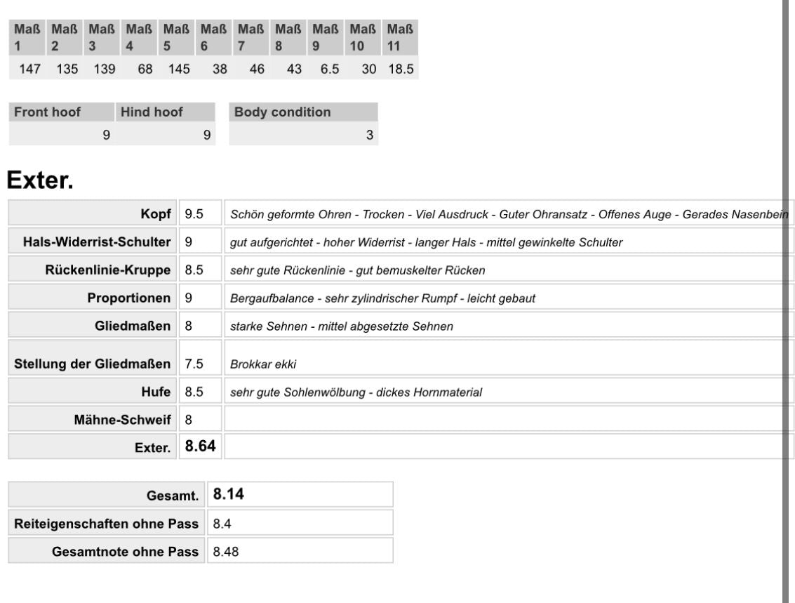 Logi – The One with the X-Factor! 🌟 Preis auf Anfrage sinaguenther-islandpferde