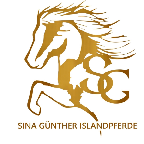 Sina Günther Islandpferde