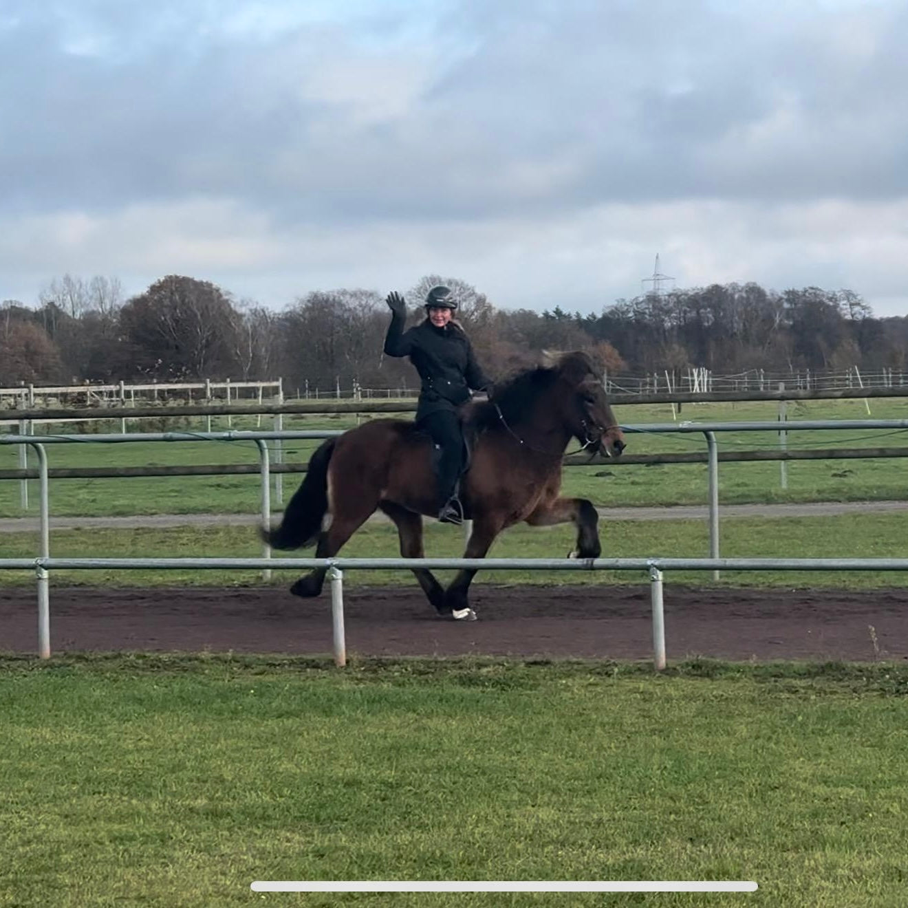 Lokkur sinaguenther-islandpferde