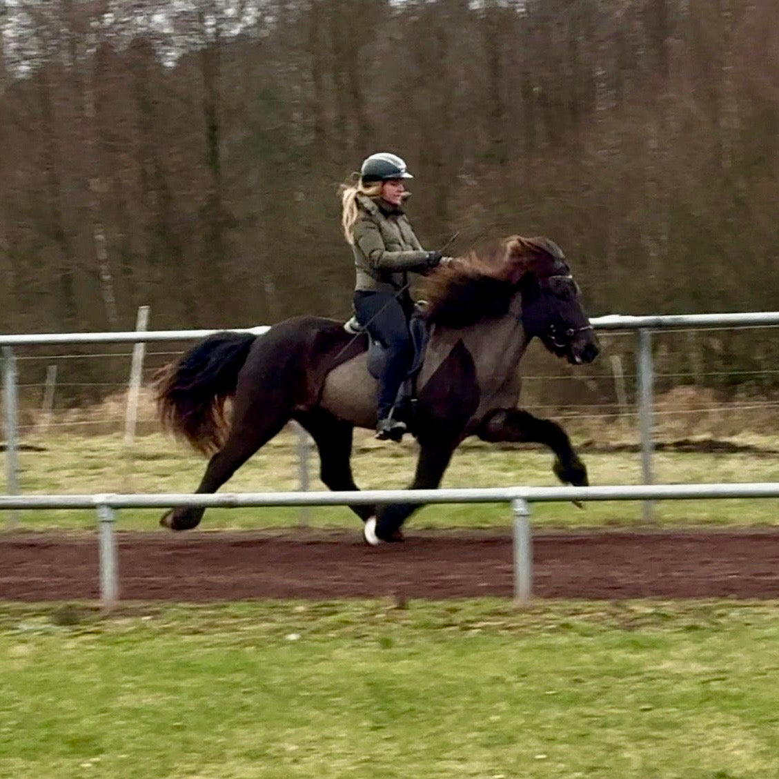 Náttfreya vom Kronshof ⭐️ sinaguenther-islandpferde