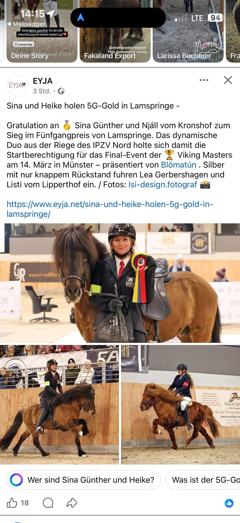 Njall vom Kronshof sinaguenther-islandpferde