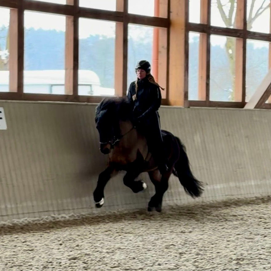 Nökkvi Preis auf Anfrage sinaguenther-islandpferde