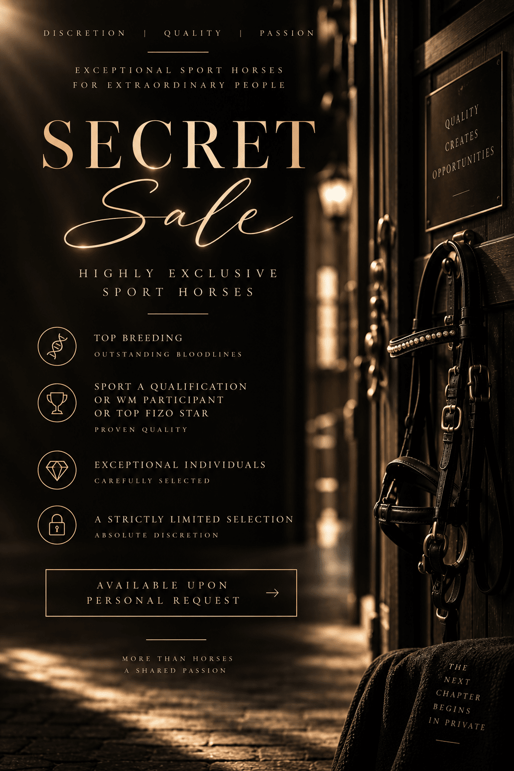 SECRET SALE 🏅 sinaguenther-islandpferde