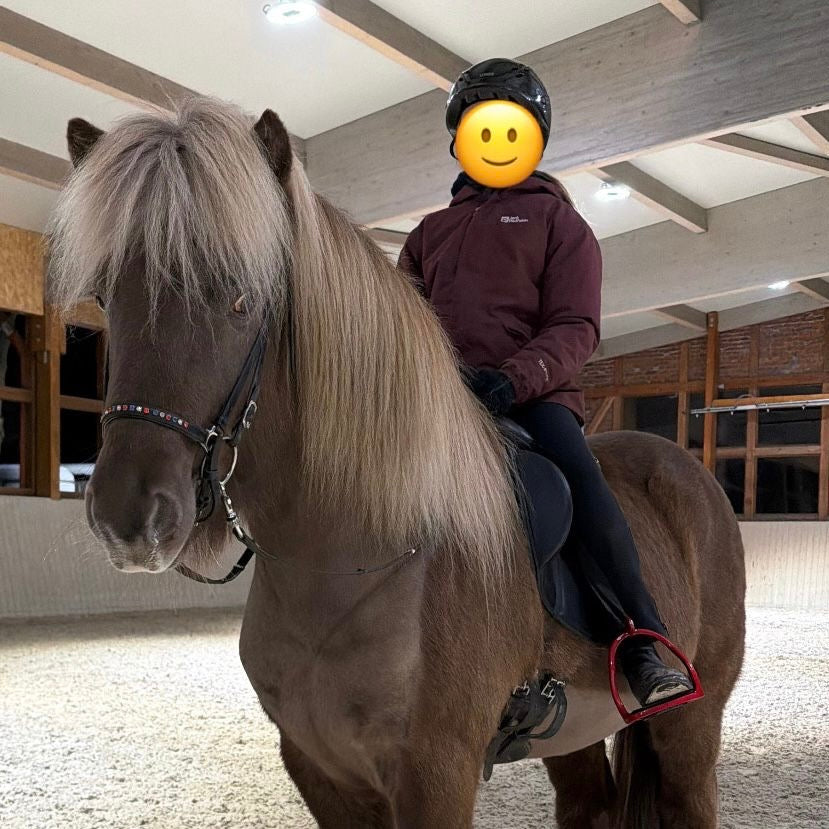 SUPER SAVE MR. X-Factor sinaguenther-islandpferde