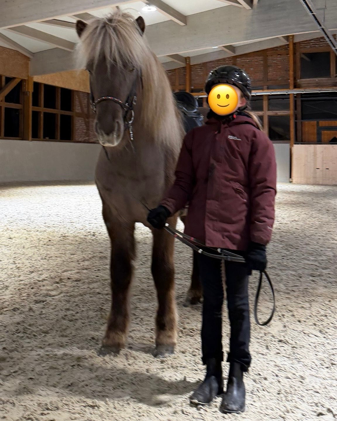 SUPER SAVE MR. X-Factor sinaguenther-islandpferde